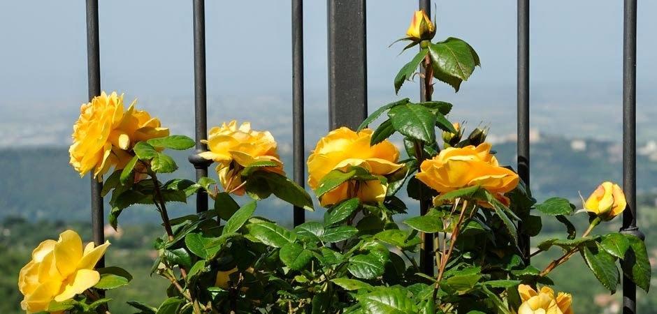 Villa Dei Fantasmi Rocca Di Papa Bagian luar foto